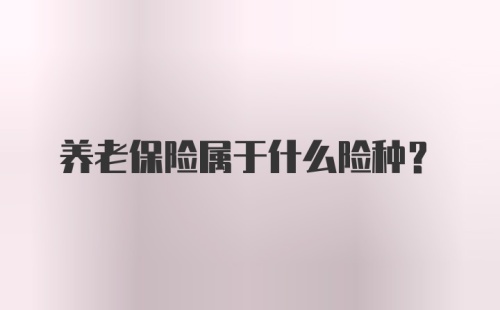 养老保险属于什么险种？