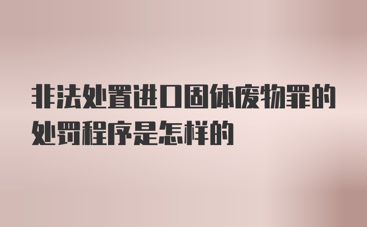 非法处置进口固体废物罪的处罚程序是怎样的