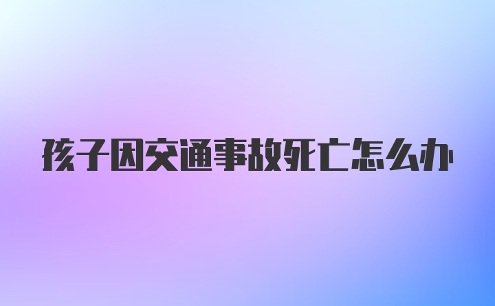 孩子因交通事故死亡怎么办