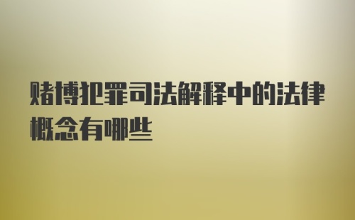 赌博犯罪司法解释中的法律概念有哪些