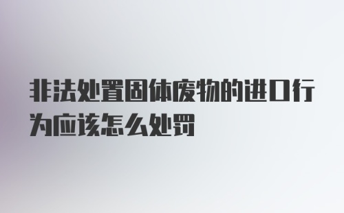 非法处置固体废物的进口行为应该怎么处罚