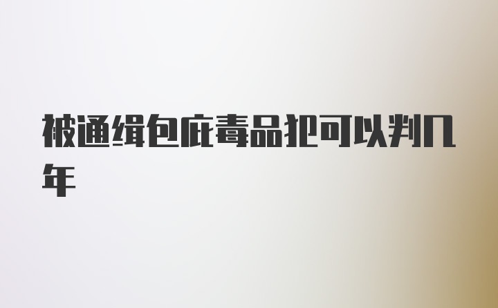 被通缉包庇毒品犯可以判几年