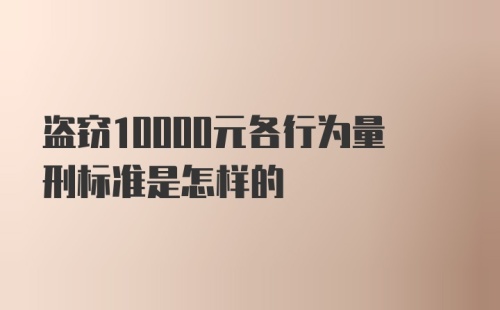 盗窃10000元各行为量刑标准是怎样的