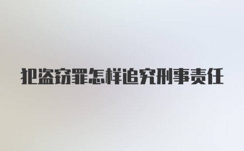 犯盗窃罪怎样追究刑事责任