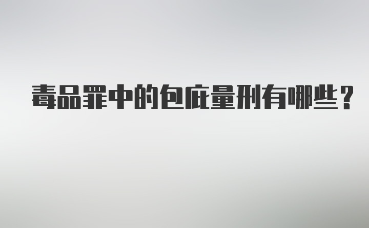 毒品罪中的包庇量刑有哪些？