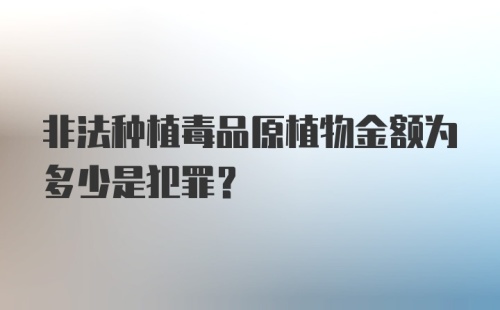 非法种植毒品原植物金额为多少是犯罪？