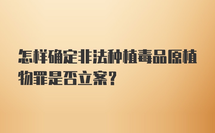 怎样确定非法种植毒品原植物罪是否立案？