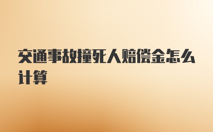 交通事故撞死人赔偿金怎么计算