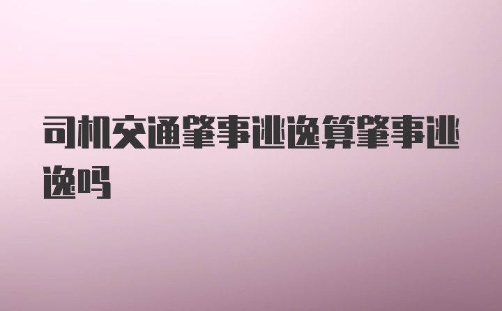 司机交通肇事逃逸算肇事逃逸吗