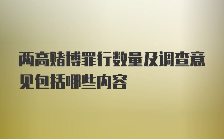 两高赌博罪行数量及调查意见包括哪些内容