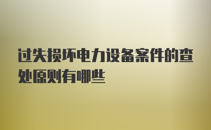 过失损坏电力设备案件的查处原则有哪些