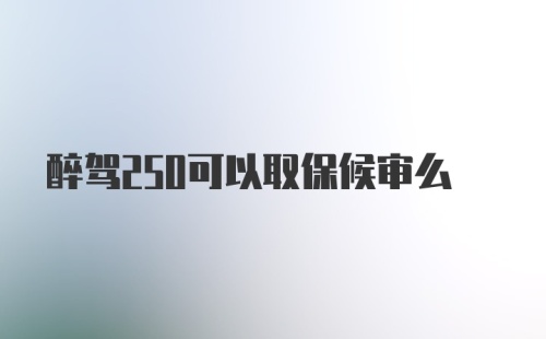 醉驾250可以取保候审么