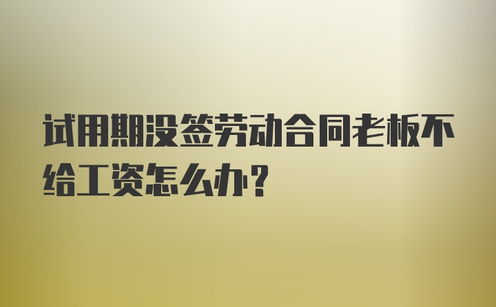 试用期没签劳动合同老板不给工资怎么办？