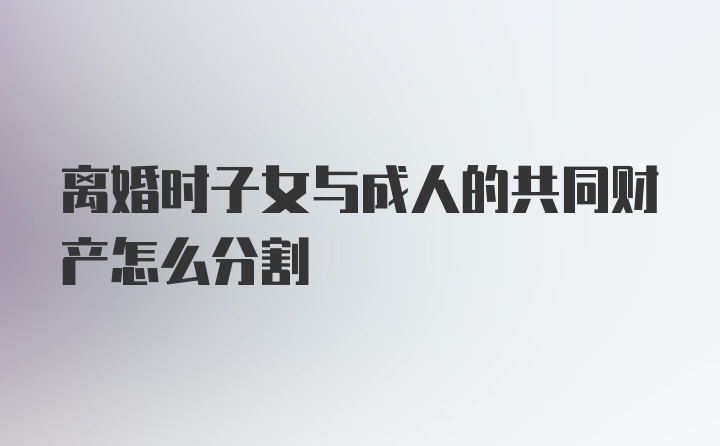 离婚时子女与成人的共同财产怎么分割