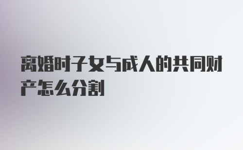 离婚时子女与成人的共同财产怎么分割