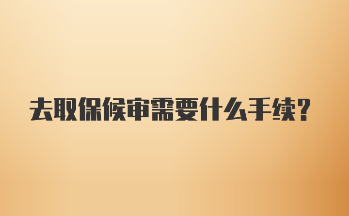 去取保候审需要什么手续？