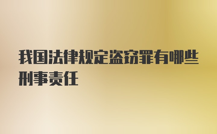 我国法律规定盗窃罪有哪些刑事责任