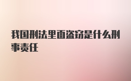 我国刑法里面盗窃是什么刑事责任