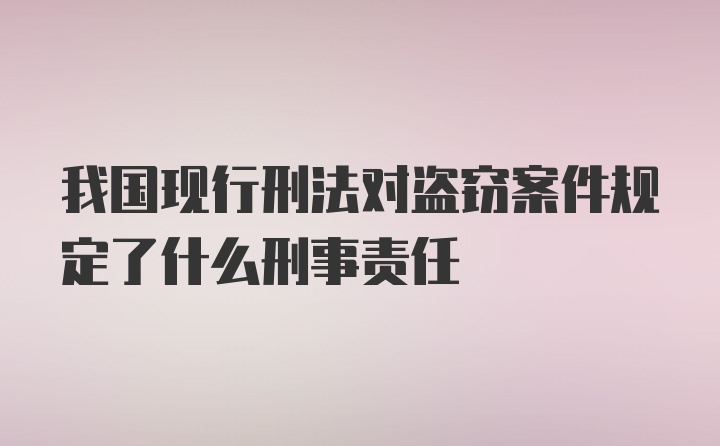 我国现行刑法对盗窃案件规定了什么刑事责任