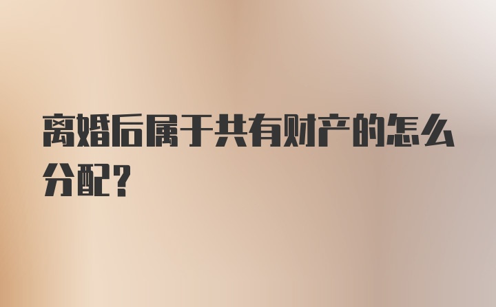 离婚后属于共有财产的怎么分配？