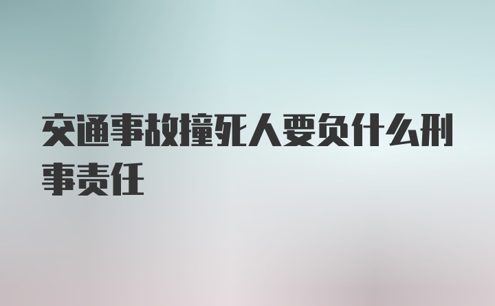 交通事故撞死人要负什么刑事责任