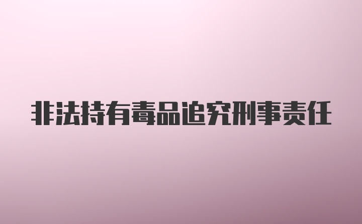 非法持有毒品追究刑事责任