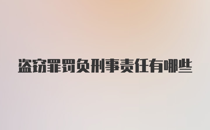 盗窃罪罚负刑事责任有哪些