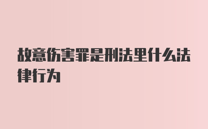 故意伤害罪是刑法里什么法律行为