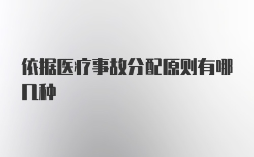 依据医疗事故分配原则有哪几种