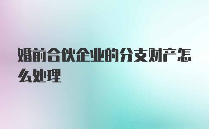 婚前合伙企业的分支财产怎么处理