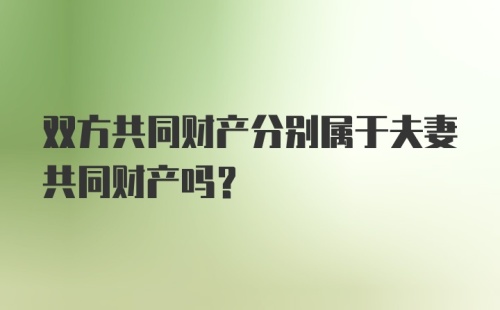 双方共同财产分别属于夫妻共同财产吗？