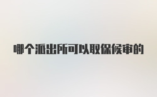 哪个派出所可以取保候审的