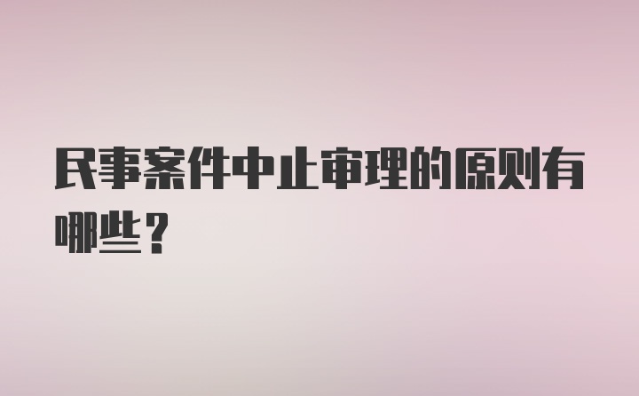 民事案件中止审理的原则有哪些？