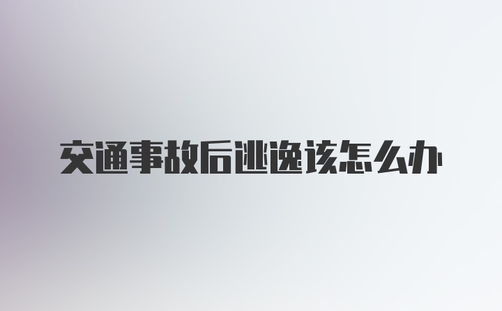 交通事故后逃逸该怎么办