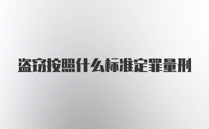 盗窃按照什么标准定罪量刑