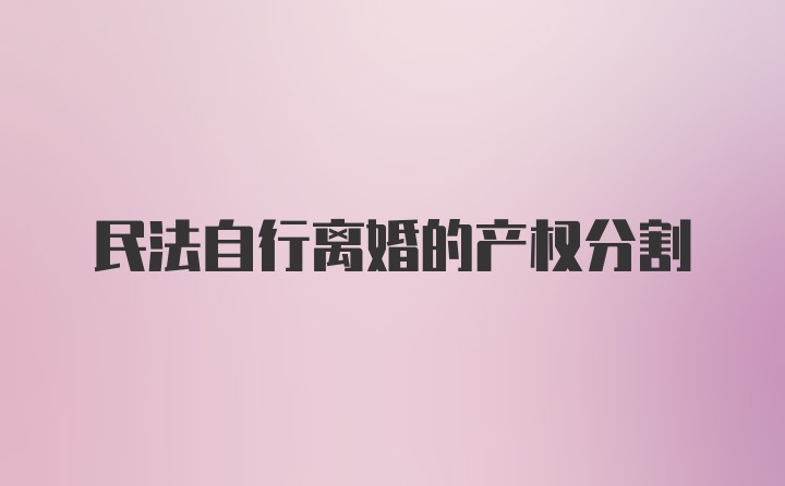 民法自行离婚的产权分割