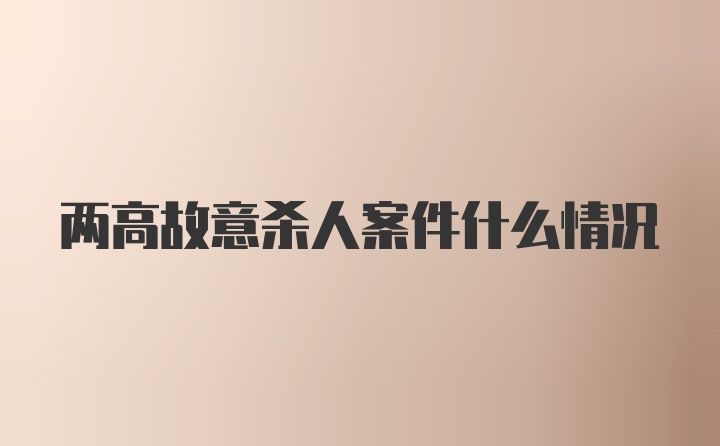 两高故意杀人案件什么情况