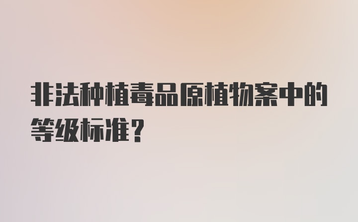 非法种植毒品原植物案中的等级标准？