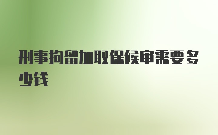 刑事拘留加取保候审需要多少钱