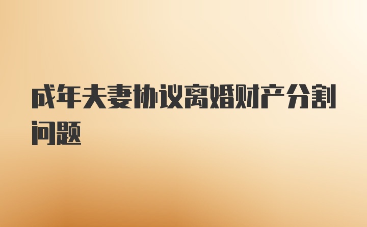 成年夫妻协议离婚财产分割问题