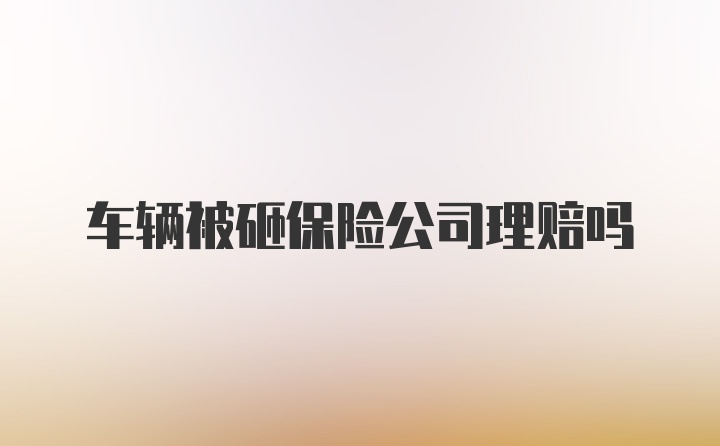 车辆被砸保险公司理赔吗