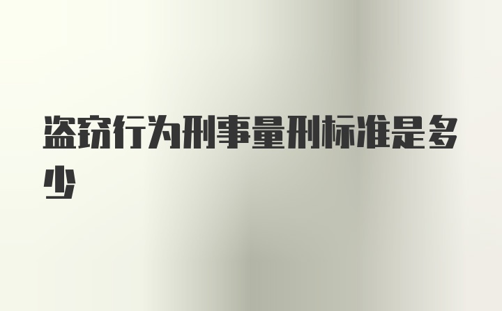 盗窃行为刑事量刑标准是多少