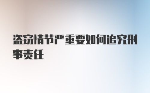 盗窃情节严重要如何追究刑事责任