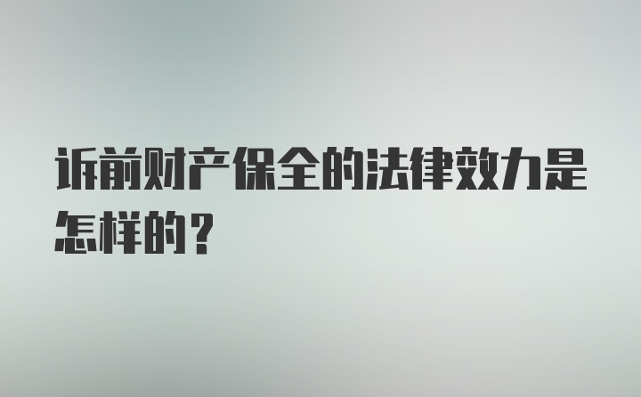 诉前财产保全的法律效力是怎样的？