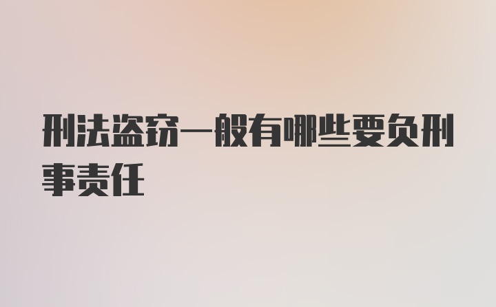 刑法盗窃一般有哪些要负刑事责任