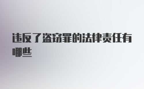 违反了盗窃罪的法律责任有哪些