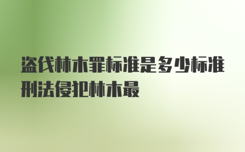 盗伐林木罪标准是多少标准刑法侵犯林木最