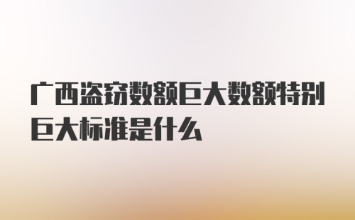 广西盗窃数额巨大数额特别巨大标准是什么