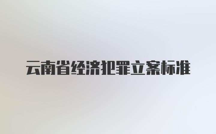云南省经济犯罪立案标准