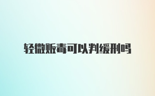 轻微贩毒可以判缓刑吗